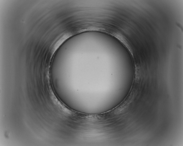 X0000099400906200805221853