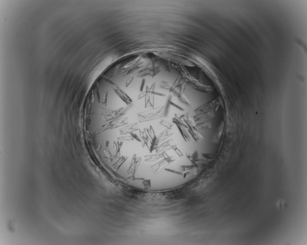 X0000099400907200805221853