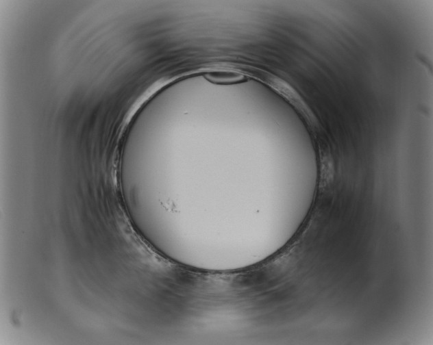 X0000099400908200805221853