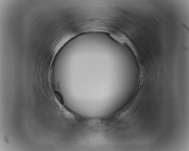 X0000099400909200805221853