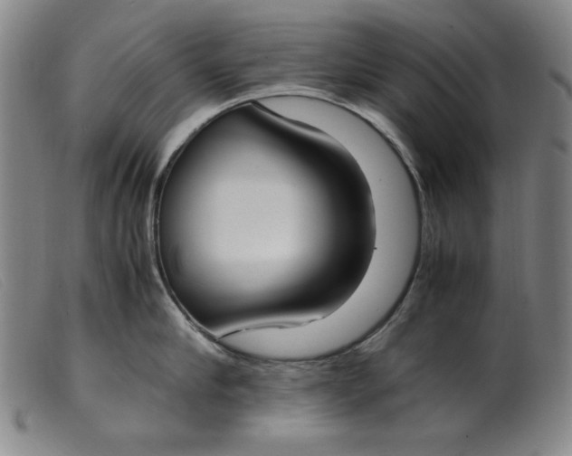 X0000099400910200805221852