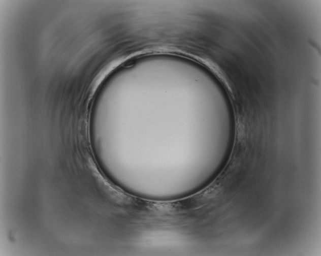 X0000099400911200805221852