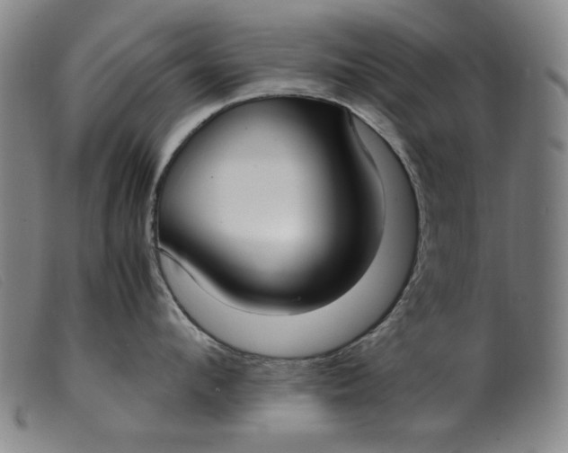 X0000099400912200805221852