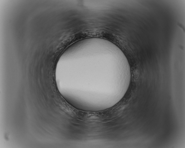 X0000099400913200805221852