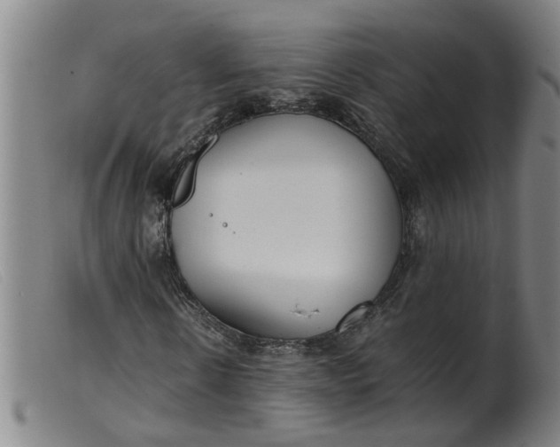 X0000099400914200805221852