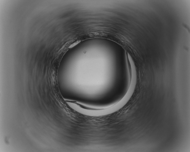 X0000099400915200805221852