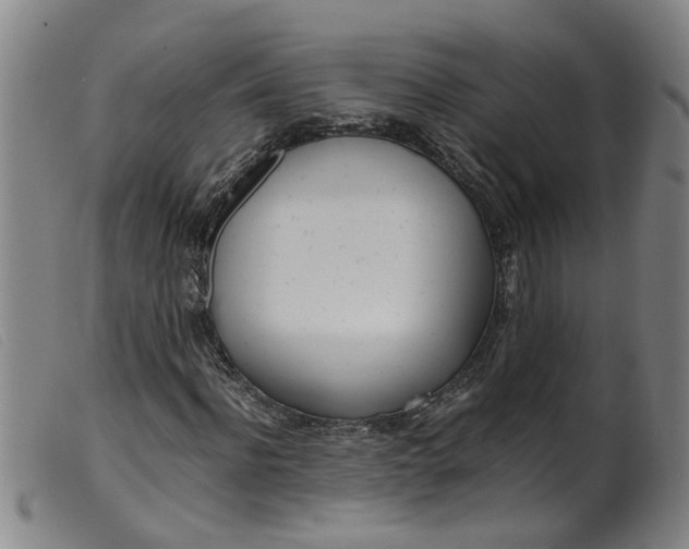 X0000099400916200805221852