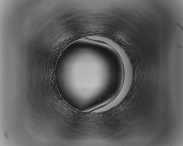 X0000099400917200805221852