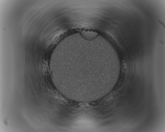 X0000099400918200805221852