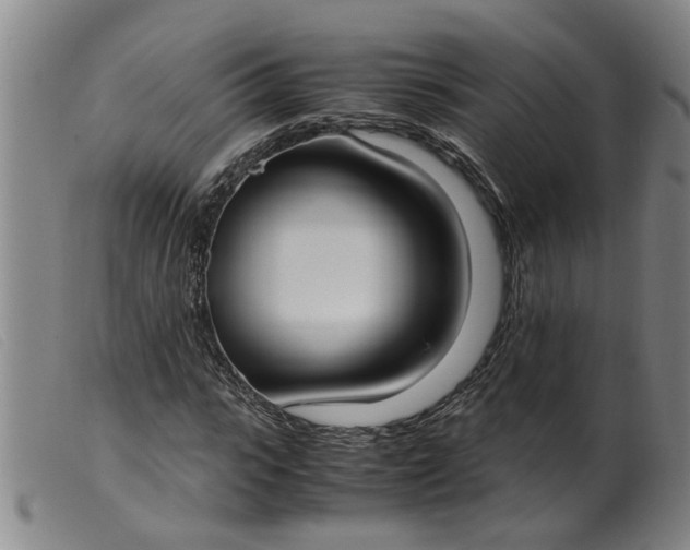 X0000099400919200805221852