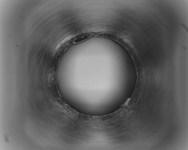 X0000099400920200805221852