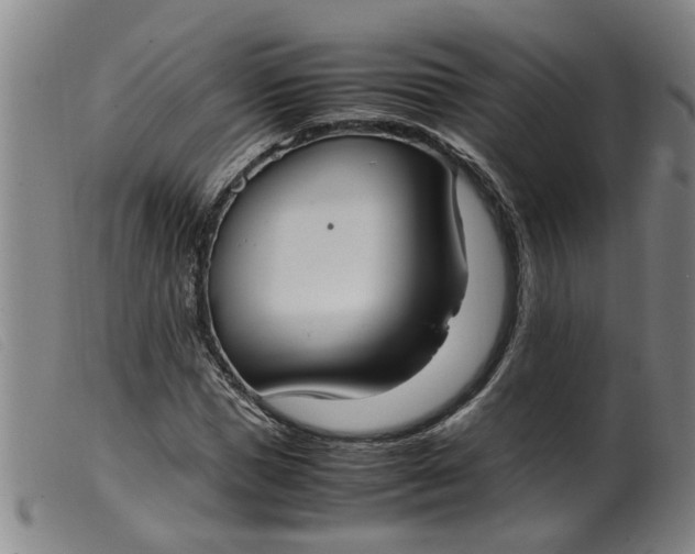 X0000099400921200805221852