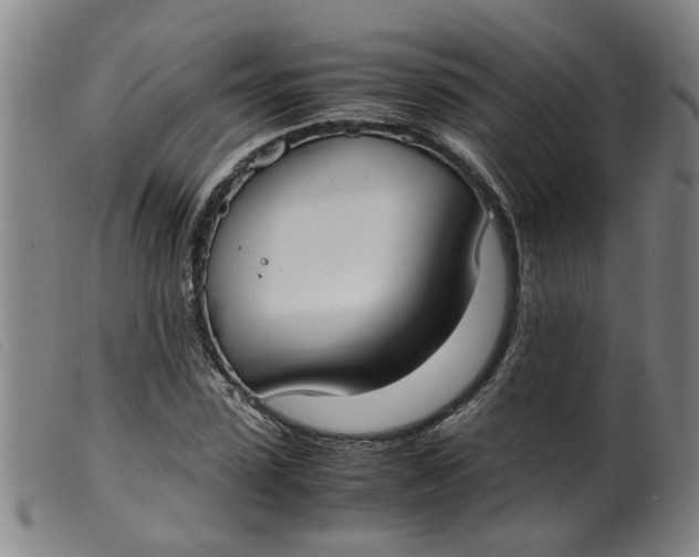 X0000099400923200805221852