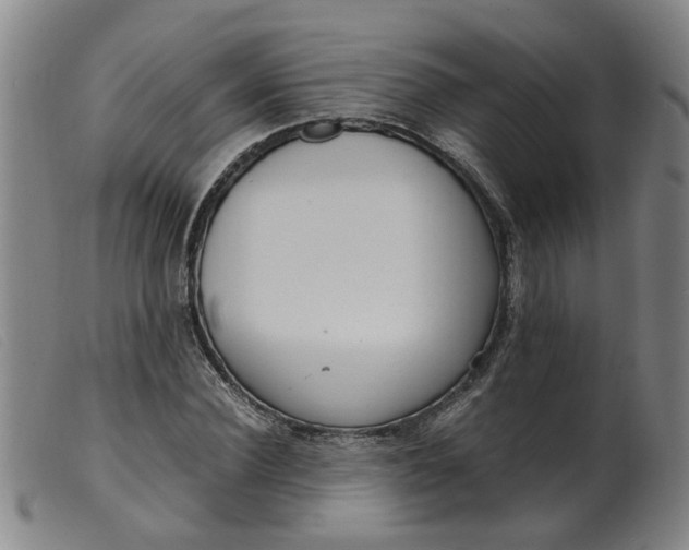 X0000099400924200805221852