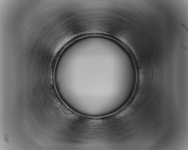 X0000099400925200805221852