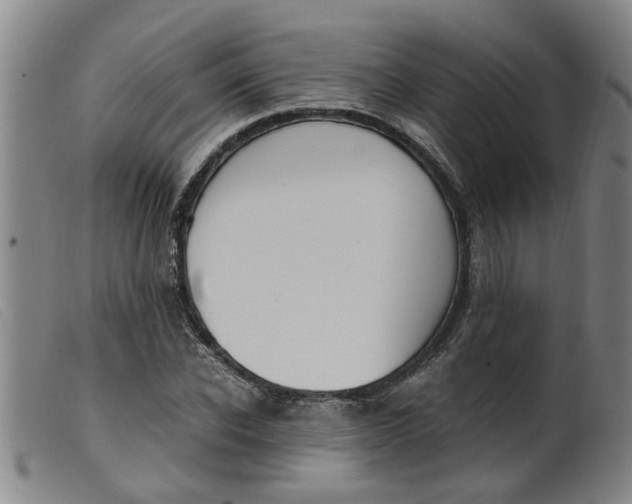 X0000099400926200805221852