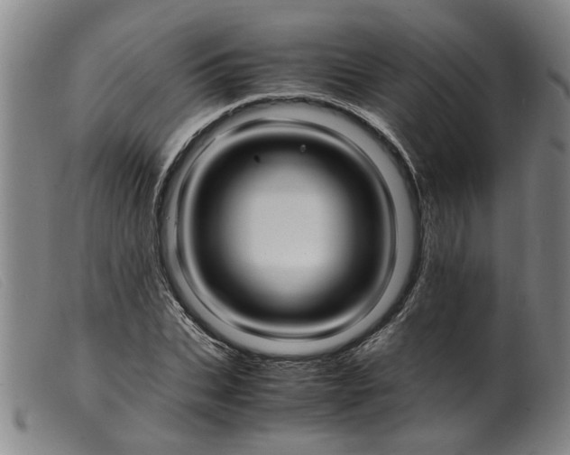 X0000099400927200805221852