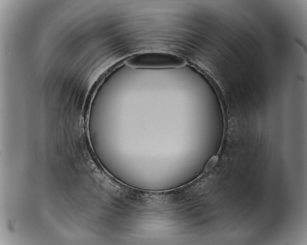 X0000099400928200805221852