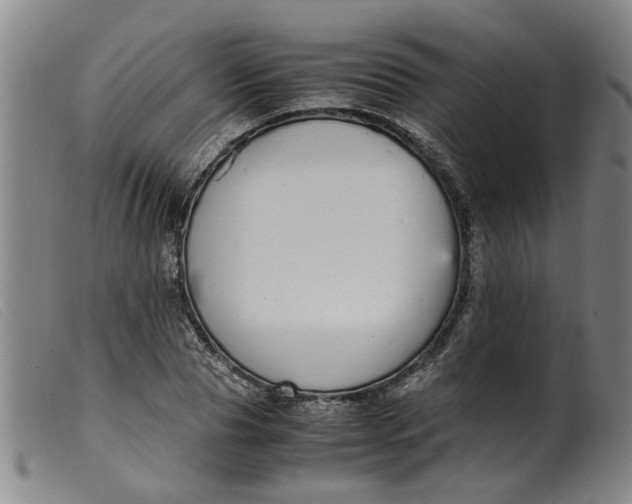 X0000099400929200805221852