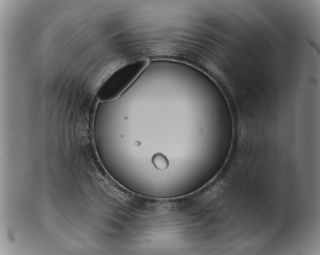 X0000099400930200805221852