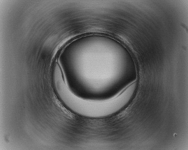 X0000099400931200805221852