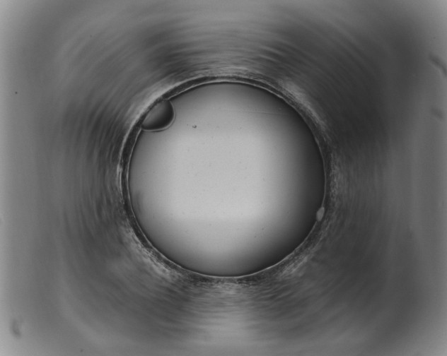 X0000099400932200805221852