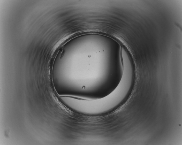 X0000099400933200805221852