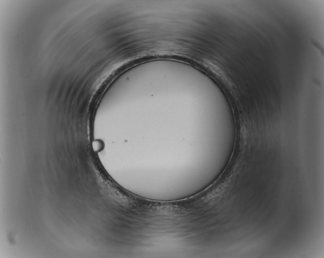 X0000099400934200805221852