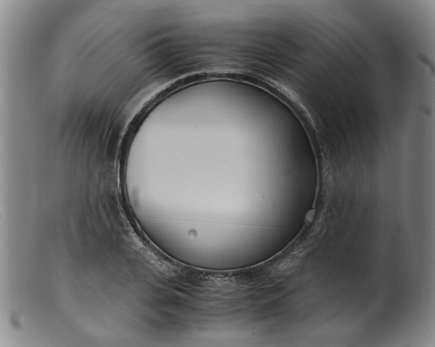 X0000099400935200805221852