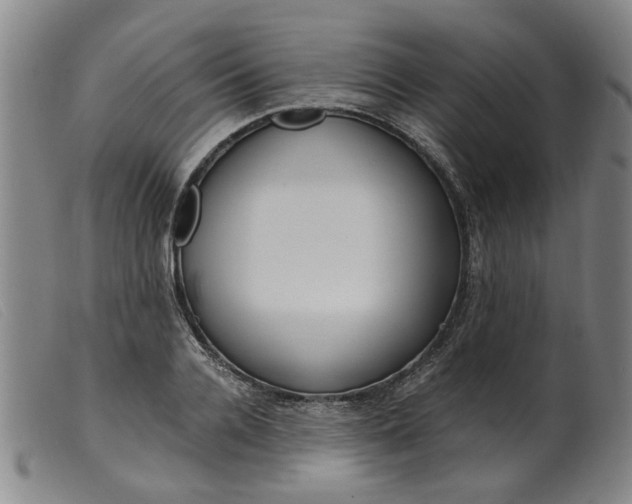 X0000099400936200805221852