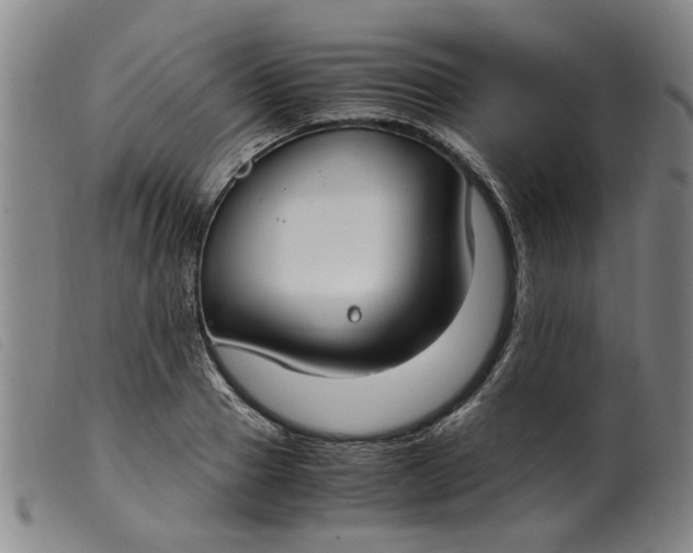 X0000099400937200805221852