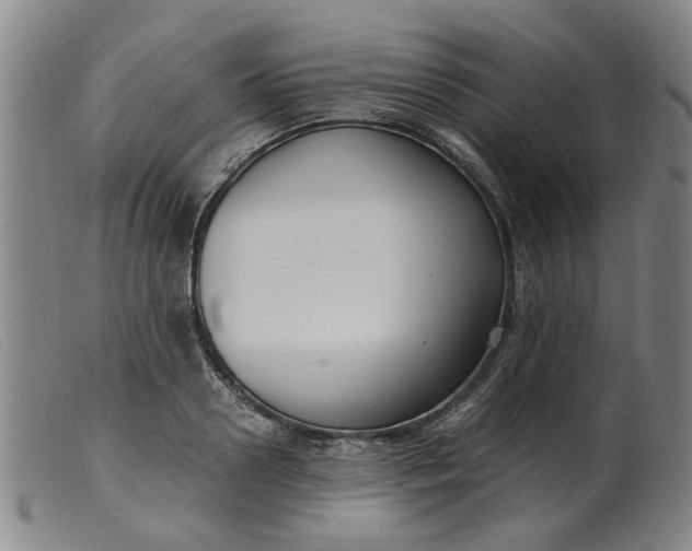 X0000099400938200805221852