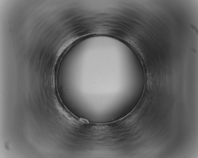 X0000099400939200805221852