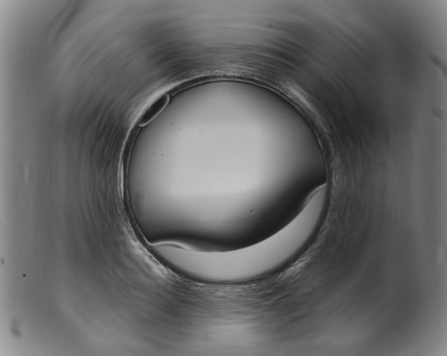 X0000099400940200805221852