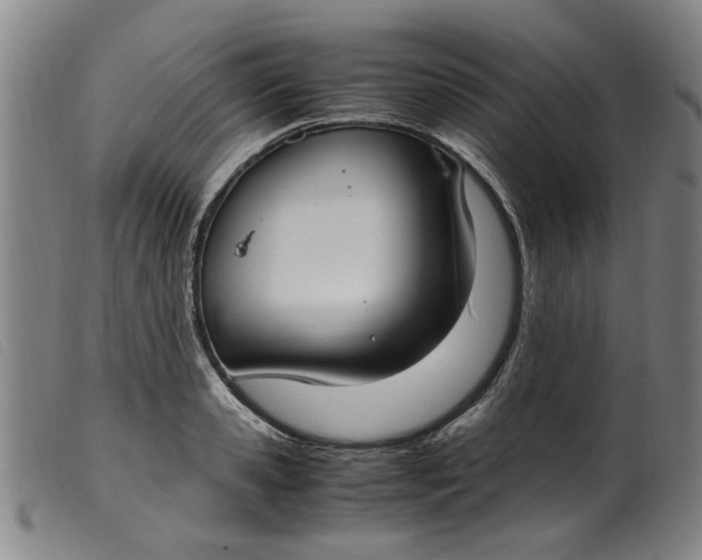 X0000099400941200805221852