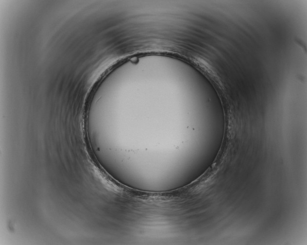 X0000099400942200805221852