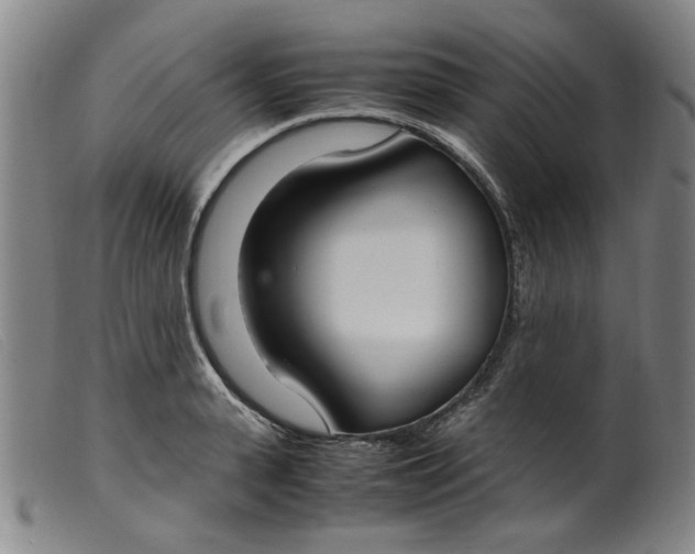 X0000099400943200805221852