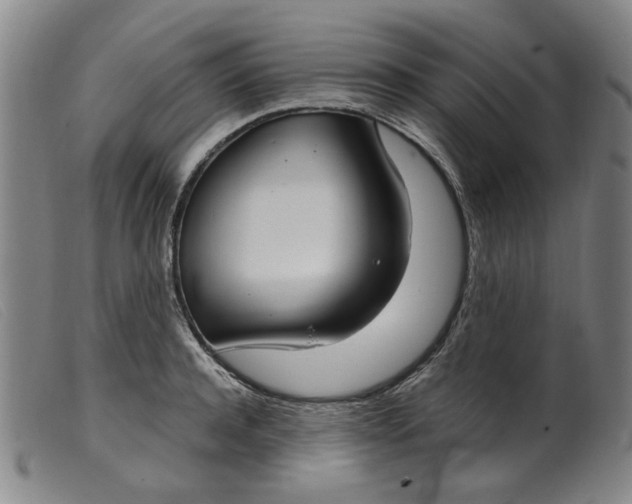 X0000099400944200805221852