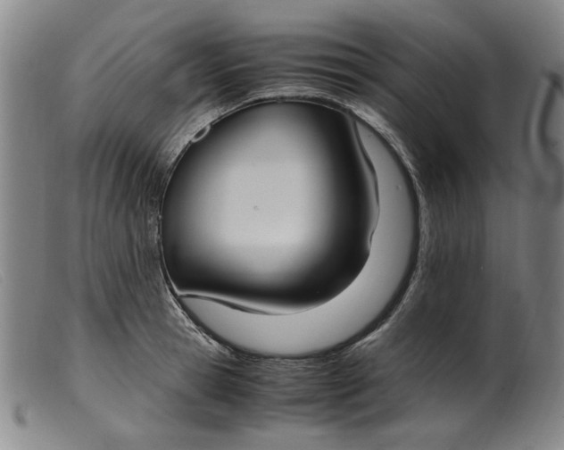 X0000099400945200805221852