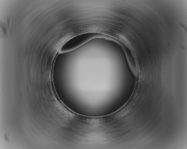 X0000099400946200805221852