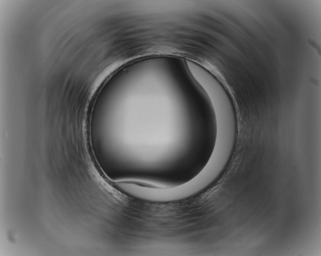 X0000099400947200805221852