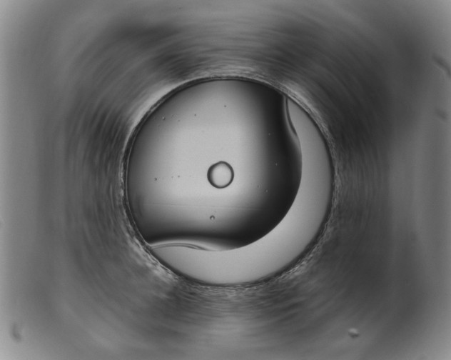 X0000099400948200805221852