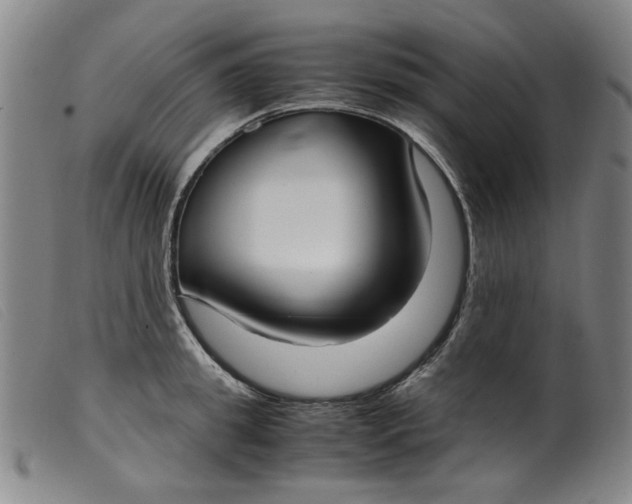 X0000099400949200805221852