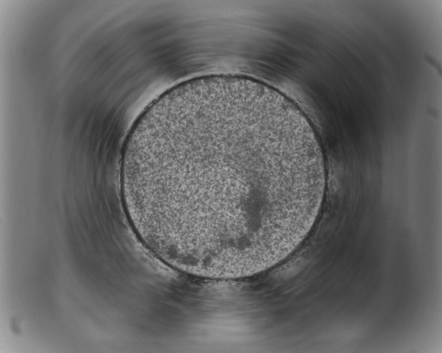 X0000099400950200805221852