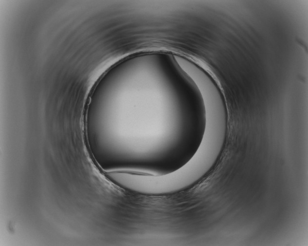 X0000099400951200805221852