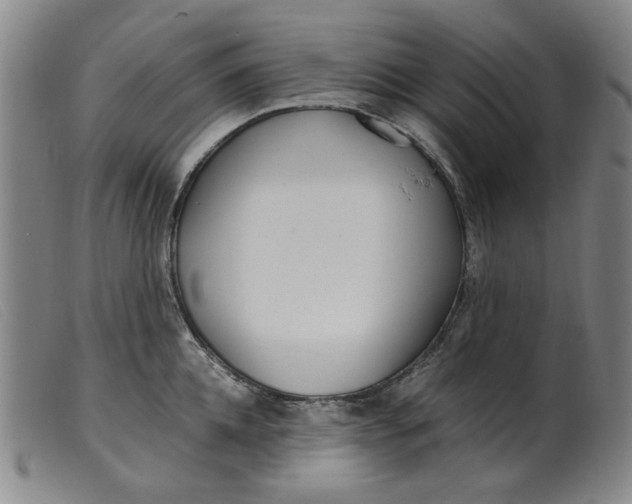 X0000099400952200805221852