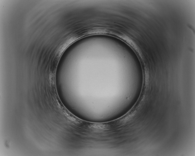 X0000099400953200805221852