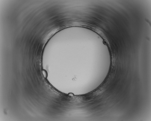 X0000099400954200805221852