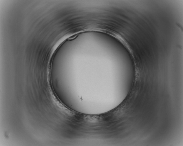 X0000099400955200805221852