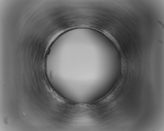 X0000099400956200805221852